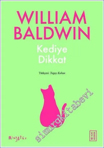 Kediye Dikkat -