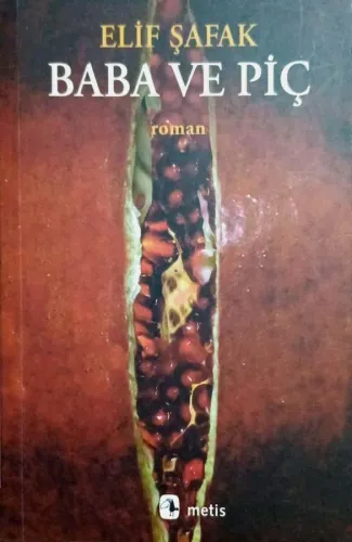 Baba ve Piç Elif Şafak Metis Yayınları