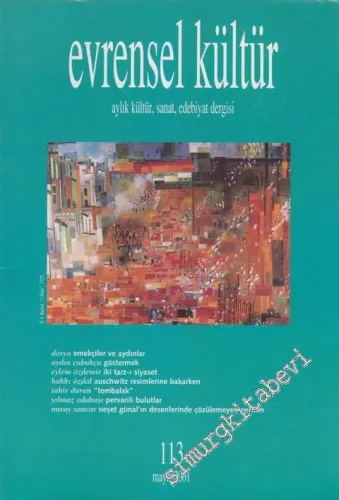 Evrensel Kültür: Aylık Kültür, Sanat, Edebiyat Dergisi - 113      Mayıs