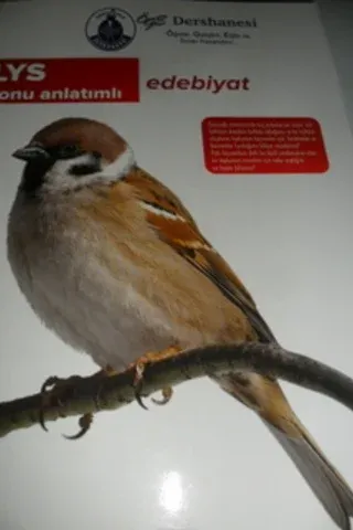 LYS Edebiyat Konu Anlatımlı