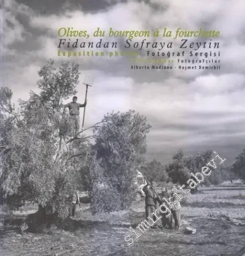 Fidandan Sofraya Zeytin Fotoğraf Sergisi = Olives du Bourgeon à la Fourchette - Exposition Photos -        2017