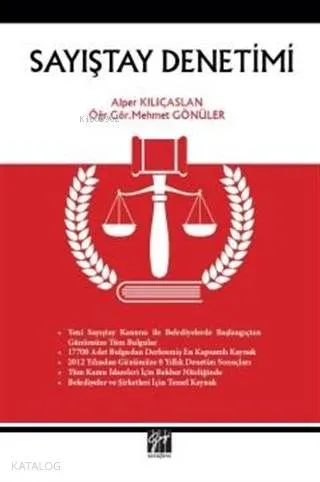 Sayıştay Denetimi