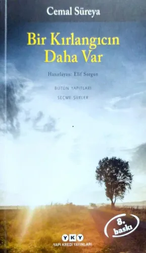 Bir Kırlangıcın Daha Var