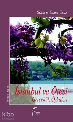İstanbul ve Ötesi; Gerçeklik Öyküleri