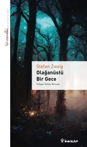 Olağanüstü Bir Gece