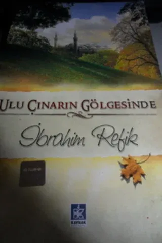 Ulu Çınarın Gölgesinde