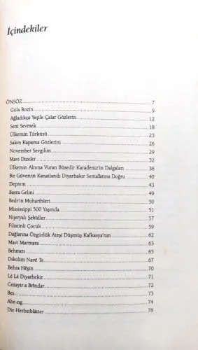 Gülistan İbrahim Sediyani Ekin Yayınları