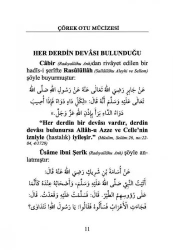 Çörek Otu Mucizesi ve Şifa Duaları