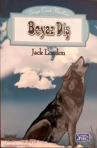 Beyaz Diş