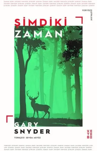 Şimdiki Zaman