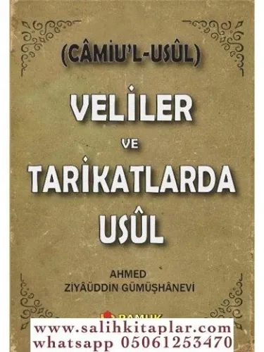 Veliler ve Tarikatlarda Usül -Camiul Usül Tasavvuf Ahmed Ziyaüddin Güm
