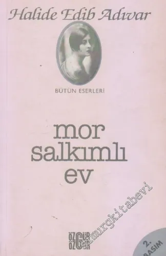 Mor Salkımlı Ev -        2002