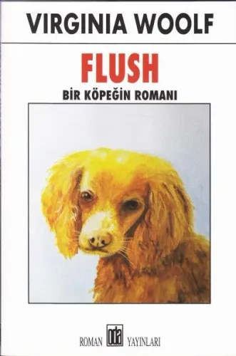 Bir Köpeğin Romanı