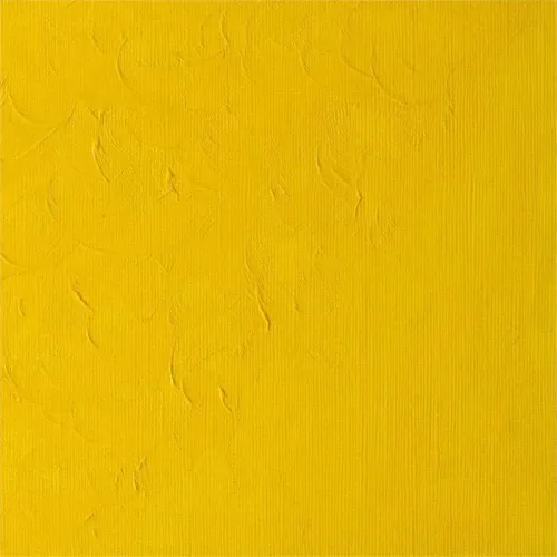 Winsor Newton Winton Yağlı Boya 37ml Cadmıum Yellow Pale Hue