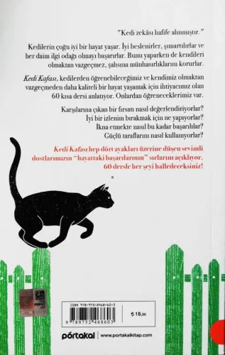 Kedi Kafası Kedilerden Öğrenebileceğiniz 60 Bilgelik Dersi Neil Somerv