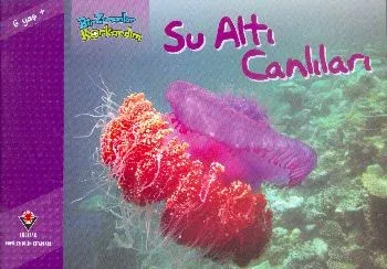Bir Zamanlar Korkardım Su Altı Canlıları 6 Yaş +