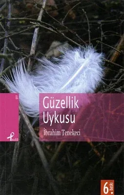 Güzellik Uykusu