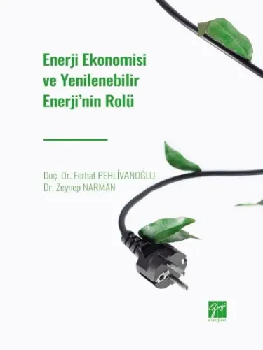 Enerji Ekonomisi ve Yenilenebilir Enerji'nin Rolü
