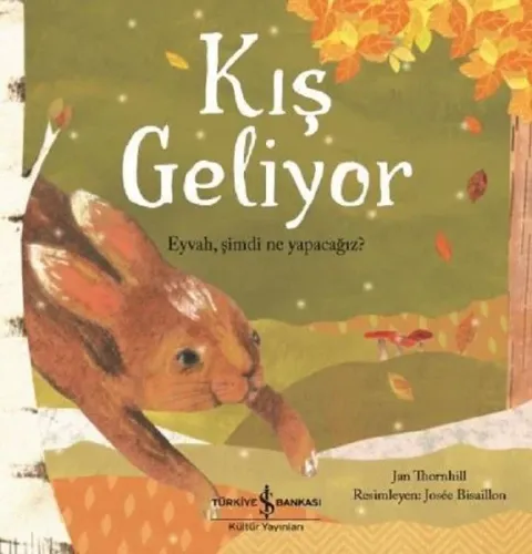 Kış Geliyor?; Eyvah Şimdi Ne Yapacağız?