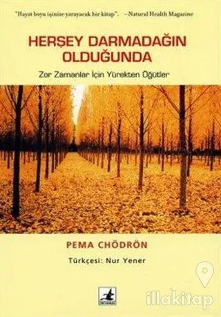 Herşey Darmadağın Olduğunda
