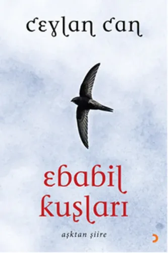 Ebabil Kuşları; Aşktan Şiire