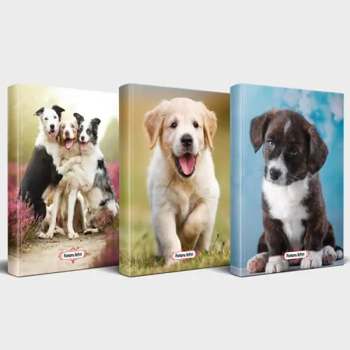 Köpek Temalı Defter Seti 3'lü v3 - Halkkitabevi