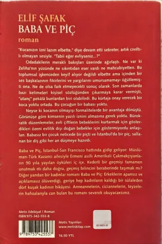 Baba Ve Piç Elif Şafak Metis Yayınları
