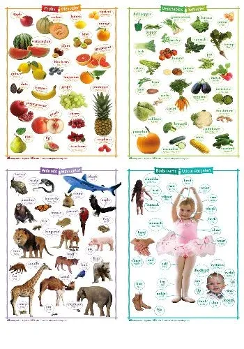 İngilizce Dil Eğitimi Posteri Büyük Boy