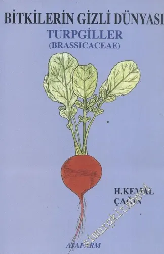 Bitkilerin Gizli Dünyası 5: Brassicaceae ( Turpgiller )