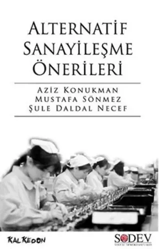 Alternatif Sanayileşme Önerileri