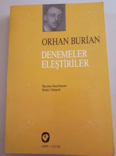 Denemeler Eleştiriler