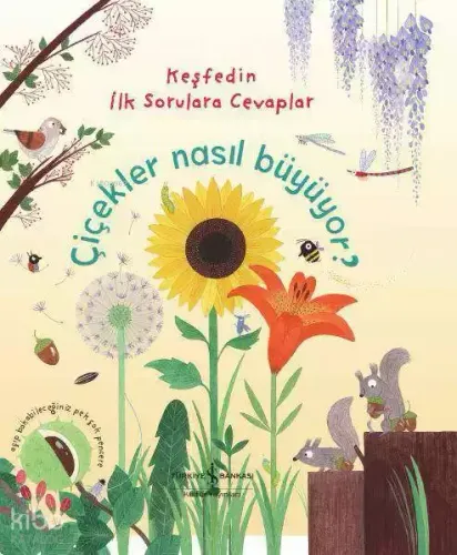 Çiçekler Nasıl Büyüyor?; Keşfedin İlk Sorulara Cevaplar