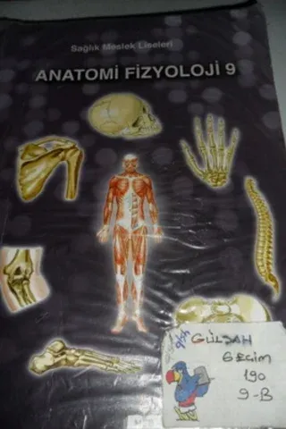Anatomi Fizyoloji 9