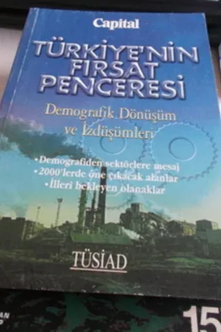 Türkiye'nin Fırsat Penceresi