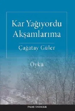 Kar Yağıyordu Akşamlarıma