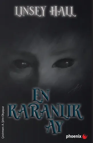 EN KARANLIK AY