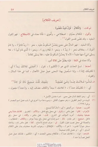 Şerhu Şüzuriz Zeheb شرح شذور الذهب Ebu Muhammed Cemaleddin Abdullah b.