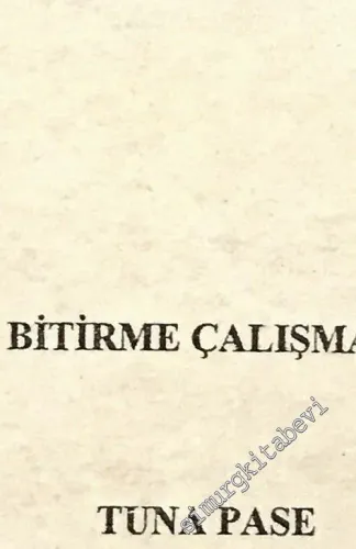 Erken Dönem Klezmer Müziğine Genel Bakış -        2002