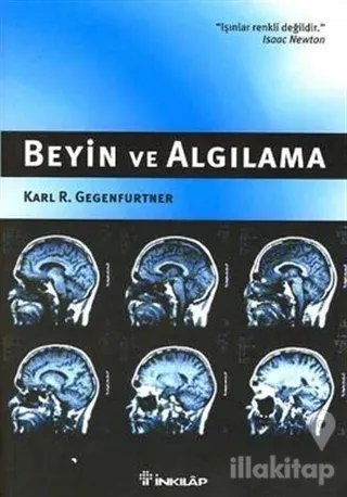 Beyin ve Algılama