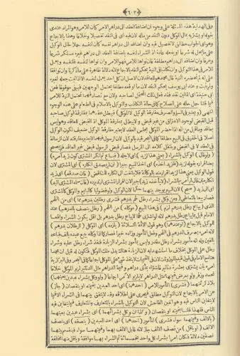 Mecmaül Enhur Arapça 2 Cilt Takım Abdurrahman Gelibolulu Şeyhzade داما