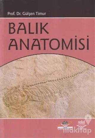 Balık Anatomisi