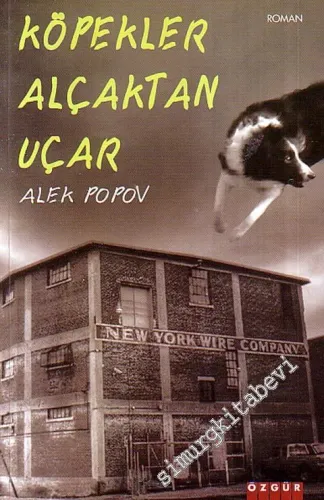 Köpekler Alçaktan Uçar -