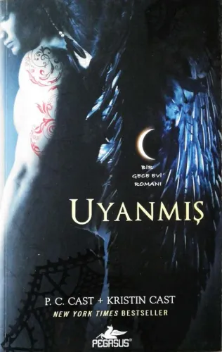 Uyanmış Bir Gece Evi Romanı
