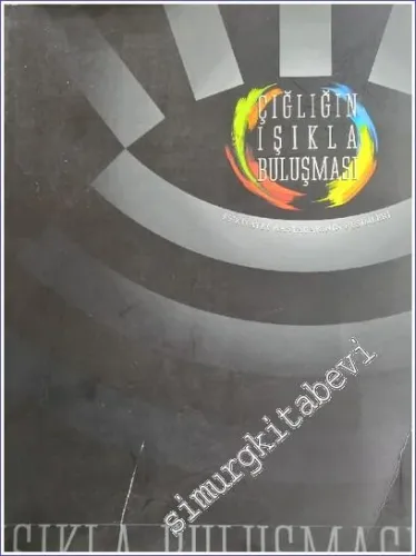 Çığlığın Işıkla Buluşması : Psikiyatri Hastalarının Resimleri -        2004