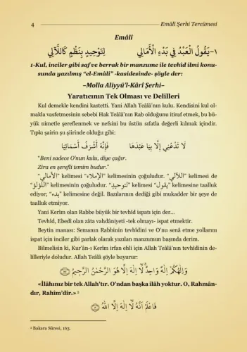 Şerhul Emali Tercümesi Kırık Manalı İzahlı