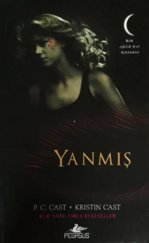 Yanmış Bir Gece Evi Romanı