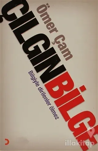Çılgın Bilge