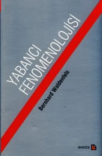 Yabancı Fenomenolojisi