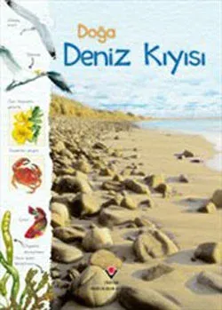 Doğa: Deniz Kıyısı (Ciltli)