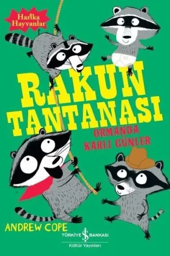 Rakun Tantanası; Ormanda Karlı Günler